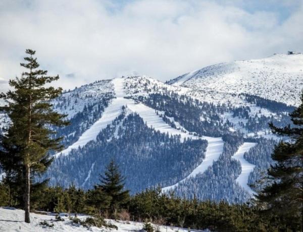 Cozy Studio In Semiramida Gardens - Borovets Hills 39 Διαμέρισμα Εξωτερικό φωτογραφία